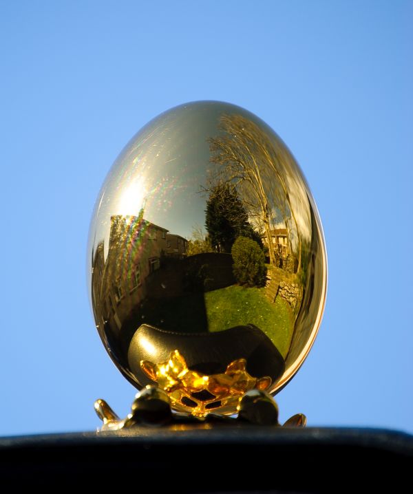 Golden Egg